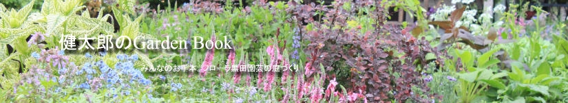 365日の寄せ植えスタイル 春・夏シーズン　黒田　健太郎