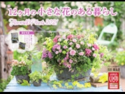 12ヶ月の小さな花のある暮らし2018 ~Flowers&Plants~ 寄せ植え カレンダー 黒田健太郎