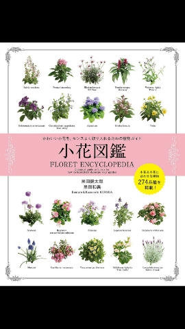 12か月の小花の寄せ植えレシピ　黒田 健太郎