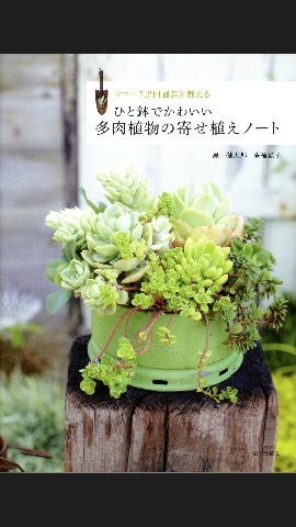 ひと鉢でかわいい 多肉植物の寄せ植えノート Notes Planting Of Succulent フローラ黒田園芸